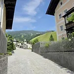 Hopfgarten Alpin Living 3 *